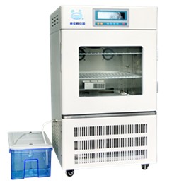 LRH-100-HSE精密型恒温恒湿箱图片