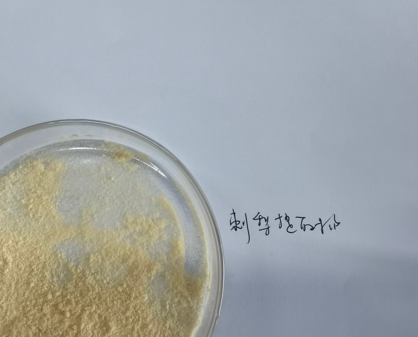 刺梨提取物图片