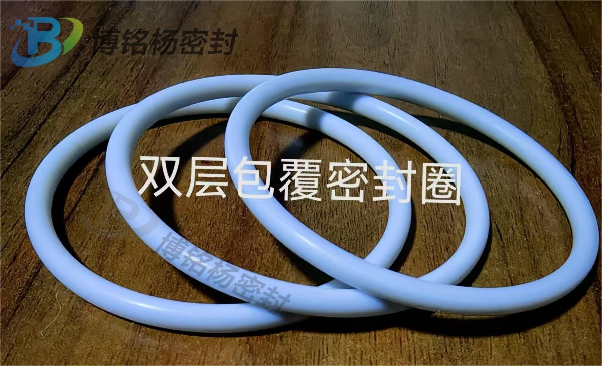 PTFE矩形包覆圈图片