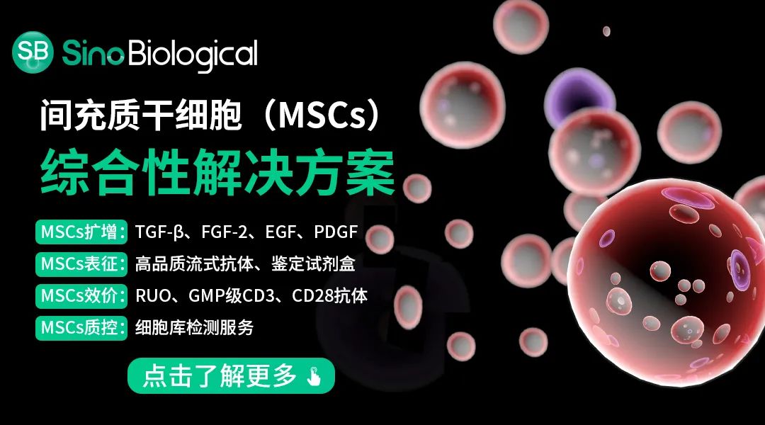 间充质干细胞(MSCs)综合性解决方案 间充质干细胞(MSCs)综合性解决方案