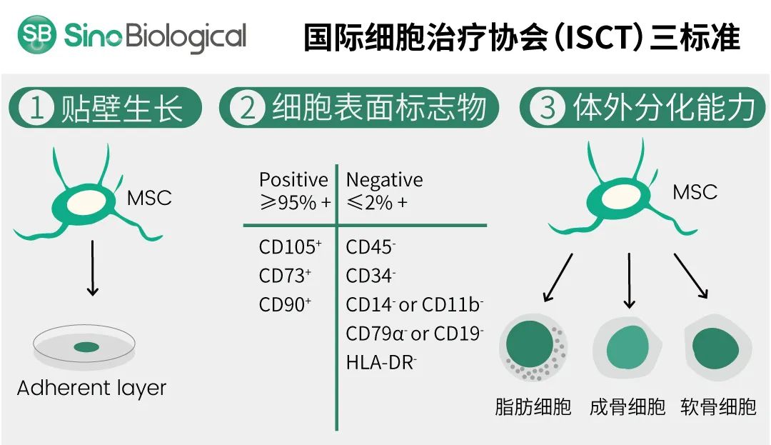 义翘神州根据ISCT标准制作 义翘神州根据ISCT标准制作