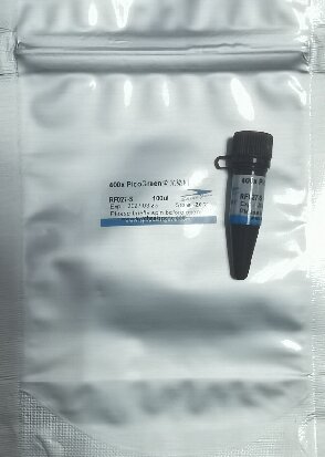 400×PicoGreen荧光染料图片