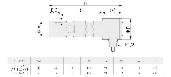 LTP-S-S