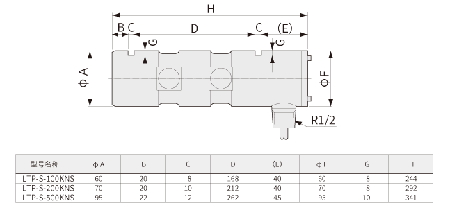 LTP-S-S