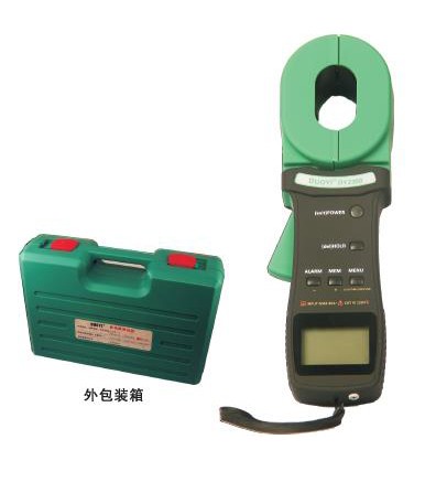 DY2100钳型接地电阻测试仪带USB接口图片
