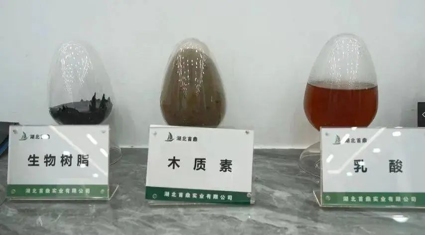 全球第一条“芦苇变塑料”生产线在湖北投产，可生产聚乳酸等