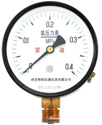 100.150型氧气压力表指针压力表YO-60图片