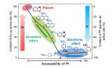 中国科学院大连物化所通过解耦催化剂双位点实现含硫硝基化合物的高效加氢