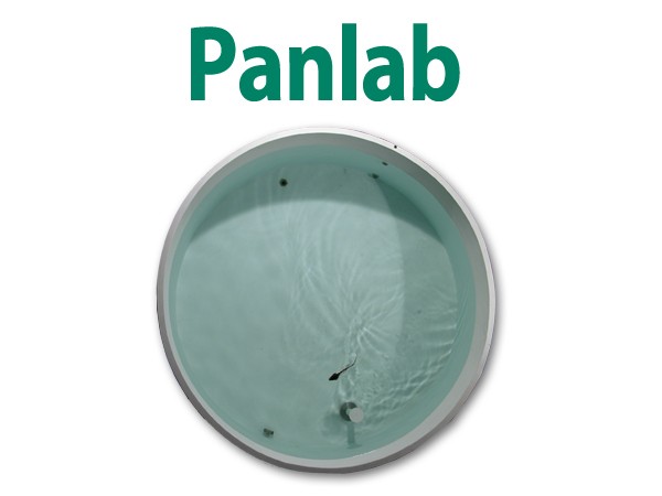 Panlab Morris水迷宫图片