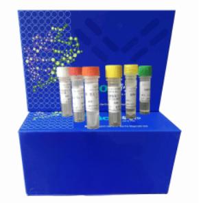 Gαo Activation Assay Kit图片