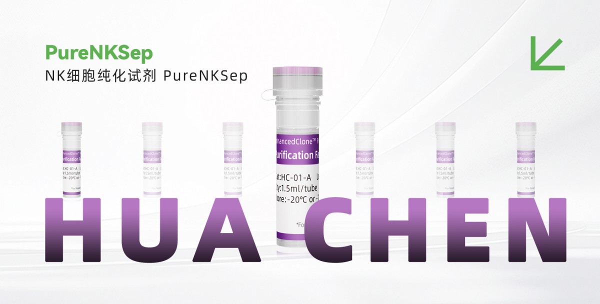 NK细胞纯化试剂PureNKSep图片