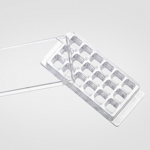 18腔室盖玻片图片