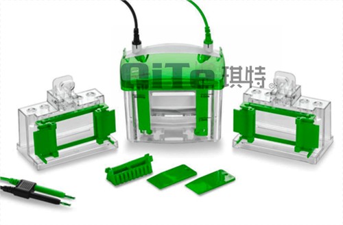QT-MiniPro2 MiniPro2垂直电泳槽图片