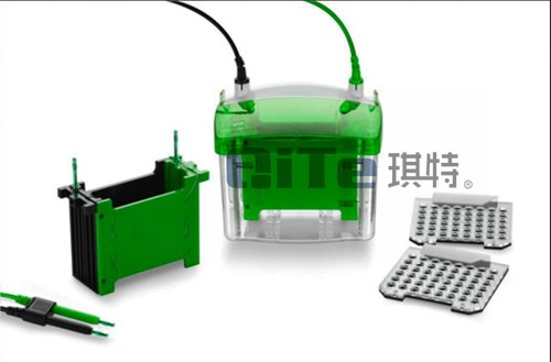 miniBLOT垂直转印电泳槽图片