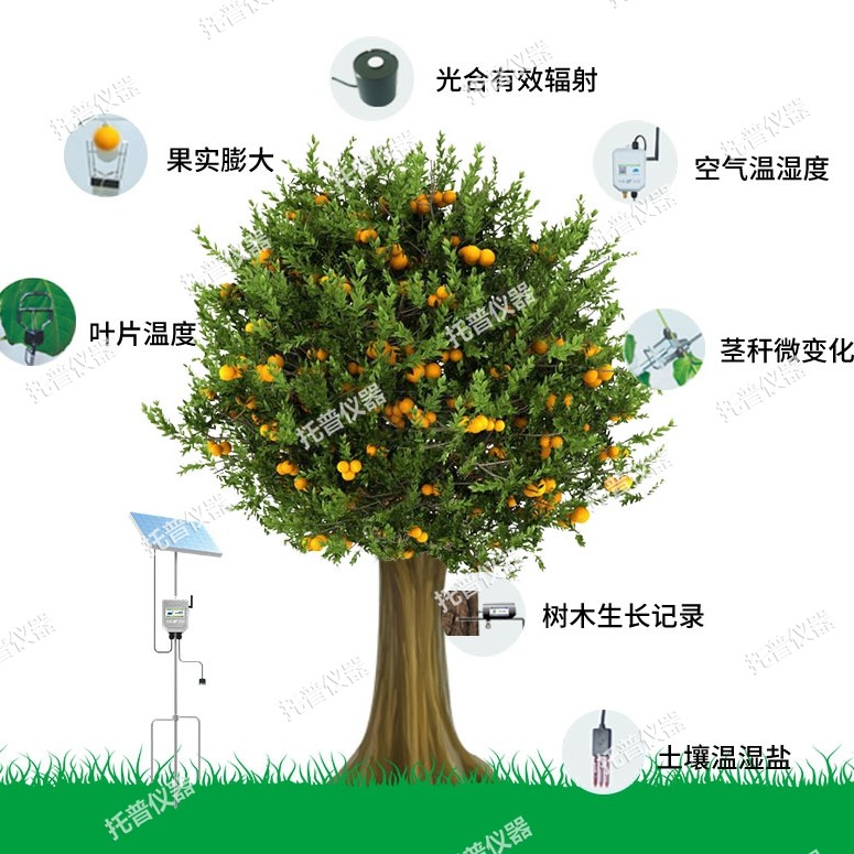 植物生理生态监测系统TP-ZWSL图片