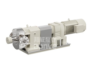 125BV12-50+干湿强剂输送泵图片
