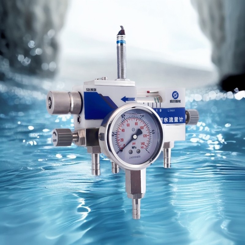 SH2双机械轴封水流量计图片