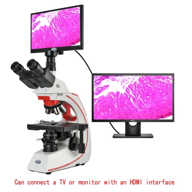 KP-ICCF533-500 40X-1600X,11.6英寸,HDMI,高清生物显微镜图片
