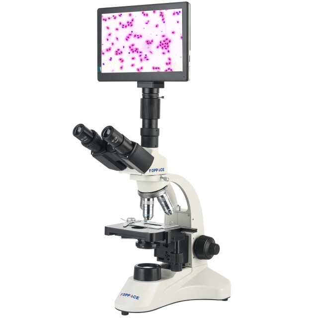 KP-PH5009 40X-1600X电子生物实验室显微镜图片