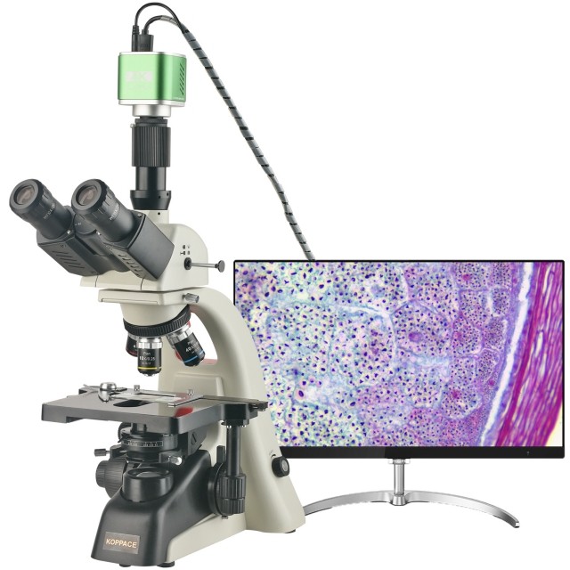 KP-PH400 308X-7705X三目生物实验室显微镜图片
