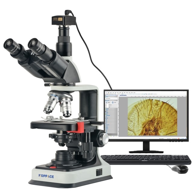 KP-AM5100A OPPACE,40X-2500X电子生物显微镜图片