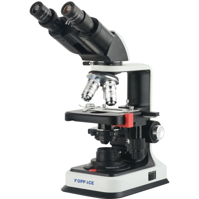 KP-AM200 40X-2500X,双目复合实验室生物显微镜图片
