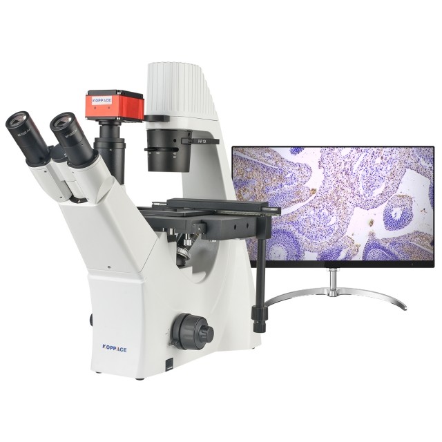 KP-XDS-4K 774X-3096X,倒置生物实验室显微镜图片
