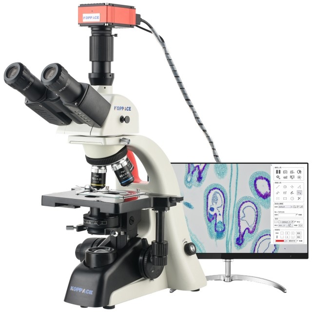 KP-PH600 40X-1600X三目生物实验室显微镜图片