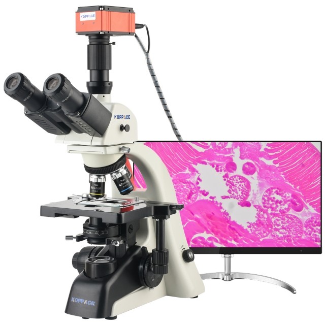 KP-PH800 309X-7740X三目生物实验室显微镜图片