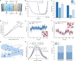 科学家首次利用双极膜重水解离实现氘代酸碱低成本制造