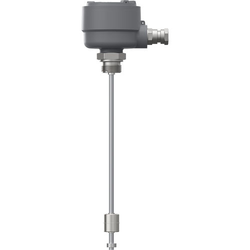 浮筒式液位变送器NESOS R20 LT图片