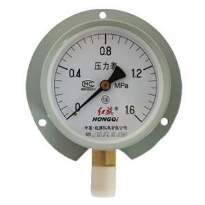 YT型径向带边压力表Y60T图片