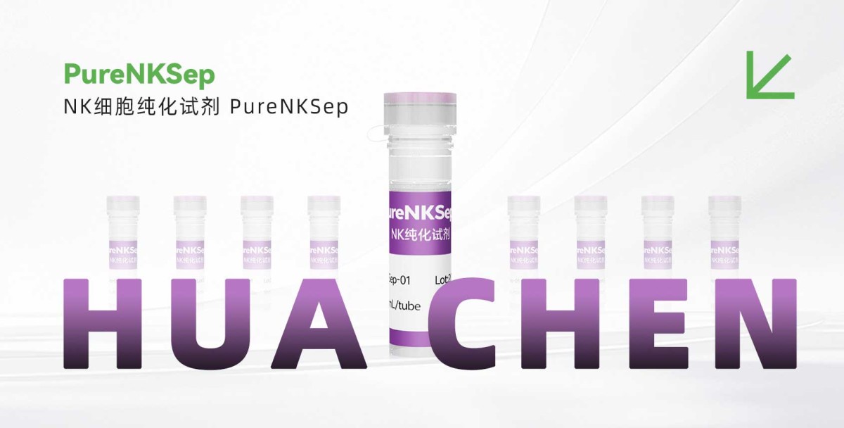 NK细胞纯化试剂PureNKSep图片