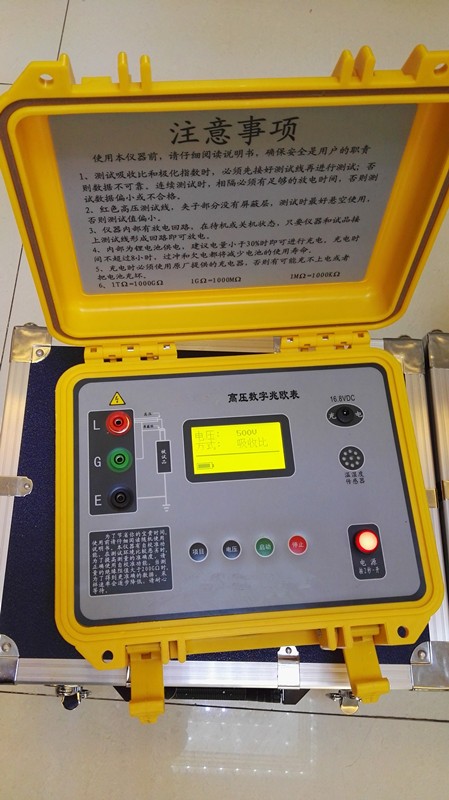 FECT3100型高压数字兆欧表图片