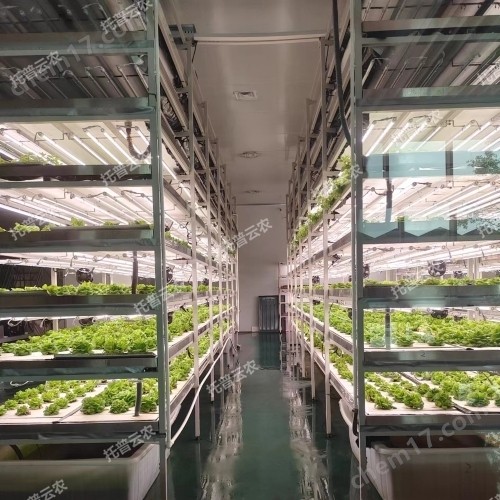 植物生长室RTOP-A图片
