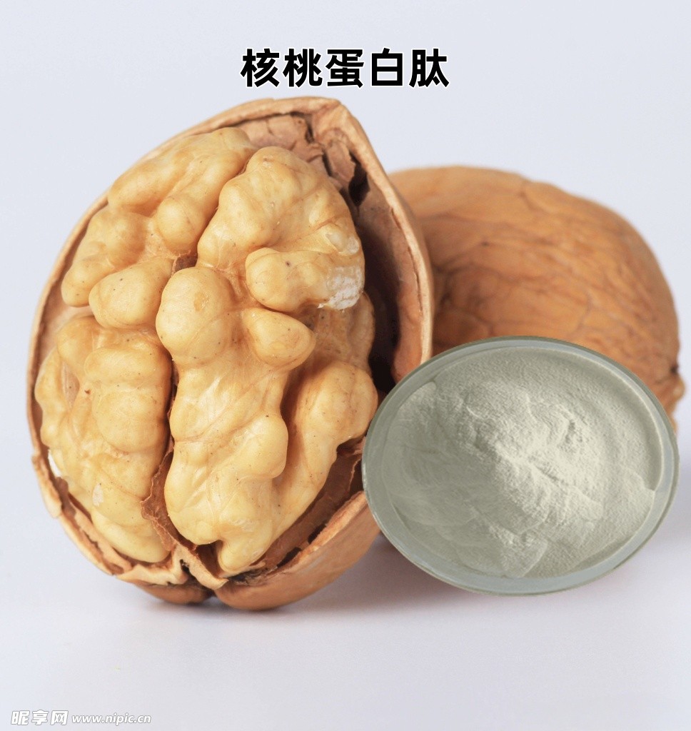 核桃蛋白肽图片