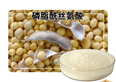 磷脂酰丝氨酸图片