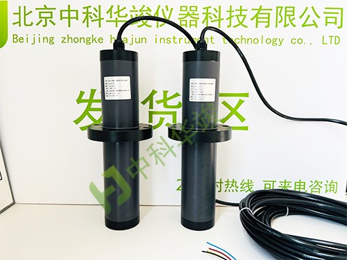 HJ-RL100投入式废水活度测量装置图片