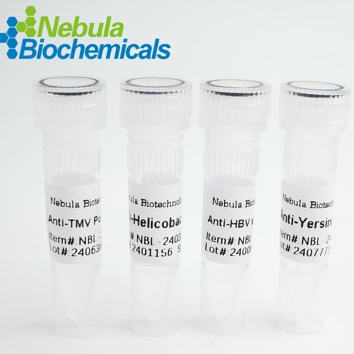 NebuSelect™Anti-Chikungunya Virus (CHIKV) Monoclonal Antibody图片