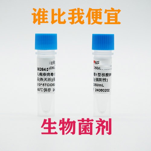 铜绿假单胞菌(标准菌株,定量菌种)图片