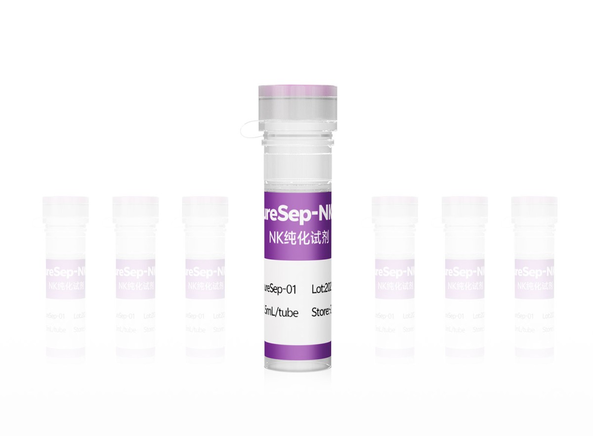 NK细胞纯化试剂pureSep-NK图片