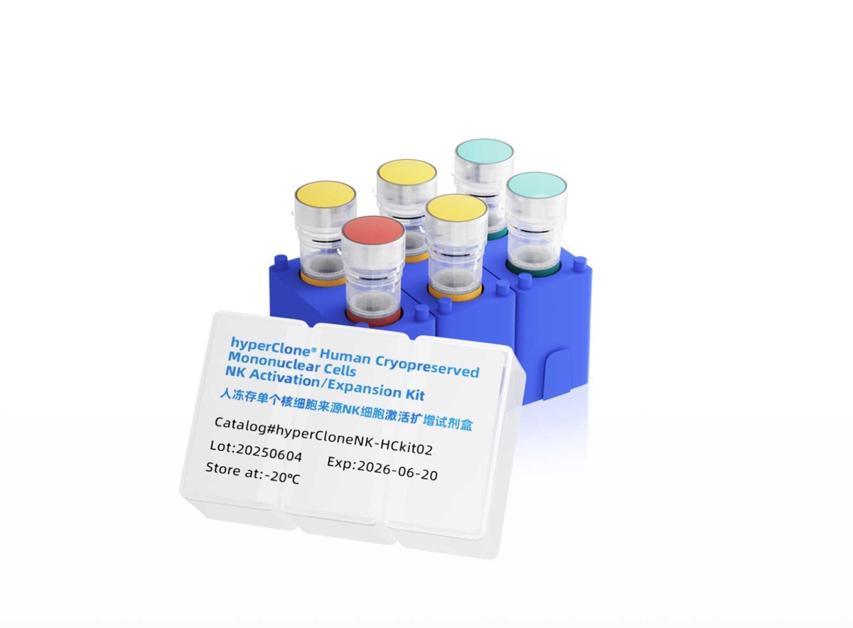 kit02人冻存单个核细胞来源NK细胞激活扩增试剂盒图片
