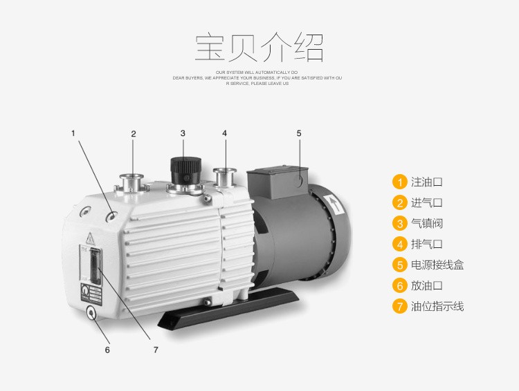 进口机械泵图片