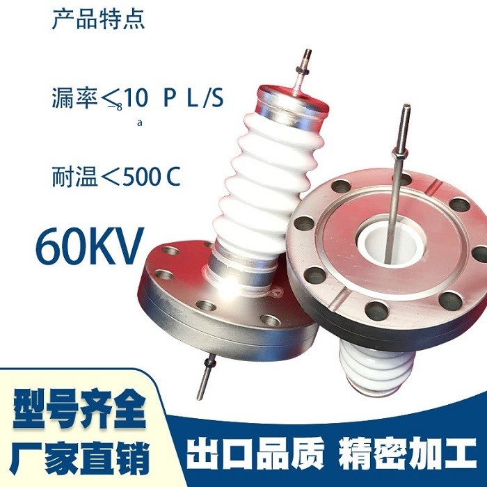 CF电极法兰图片