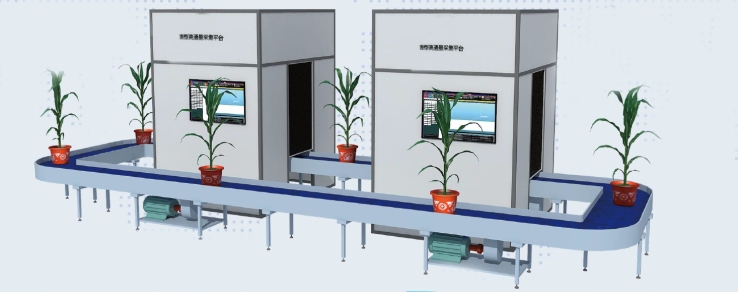 高通量植物表型测量系统