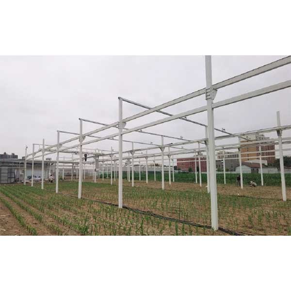 DJ-0341田间龙门式植物表型测量系统图片