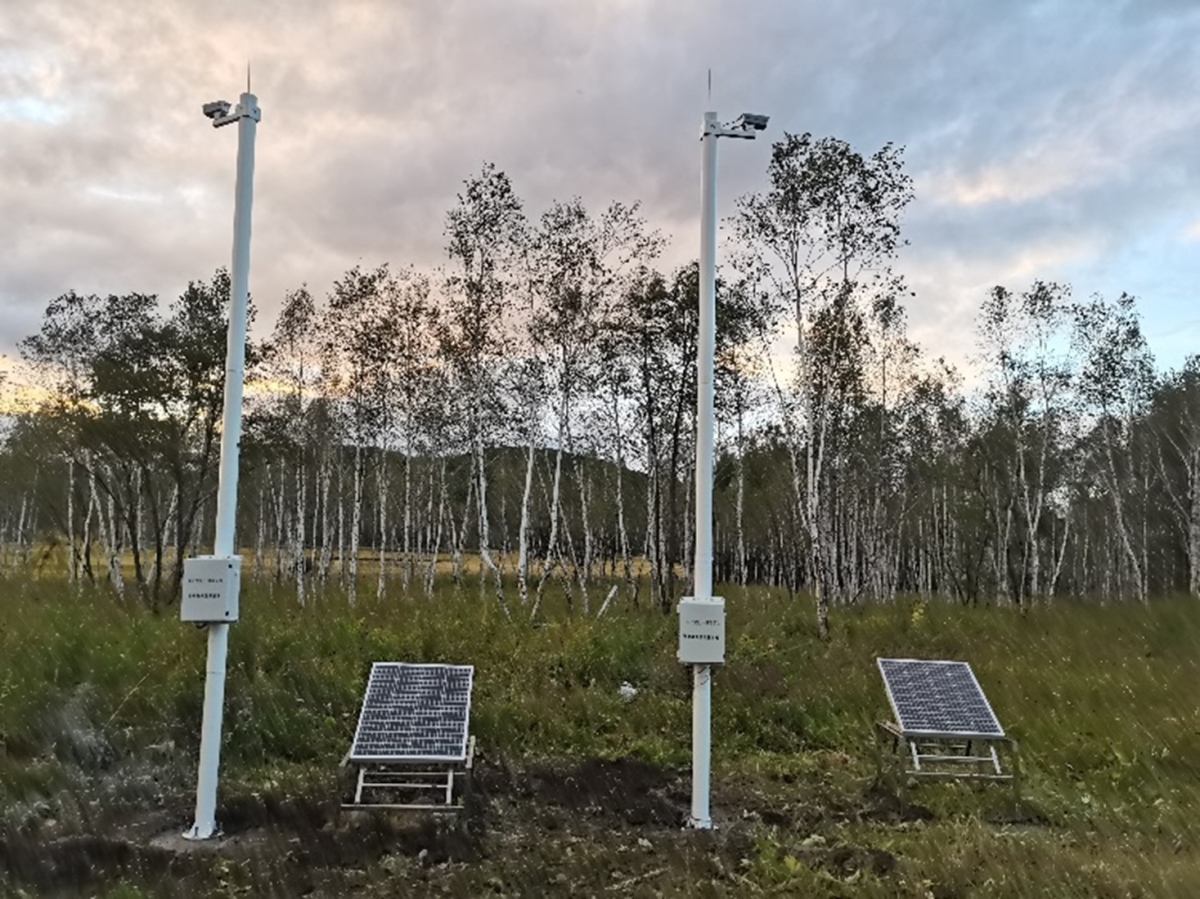 植物物候监测