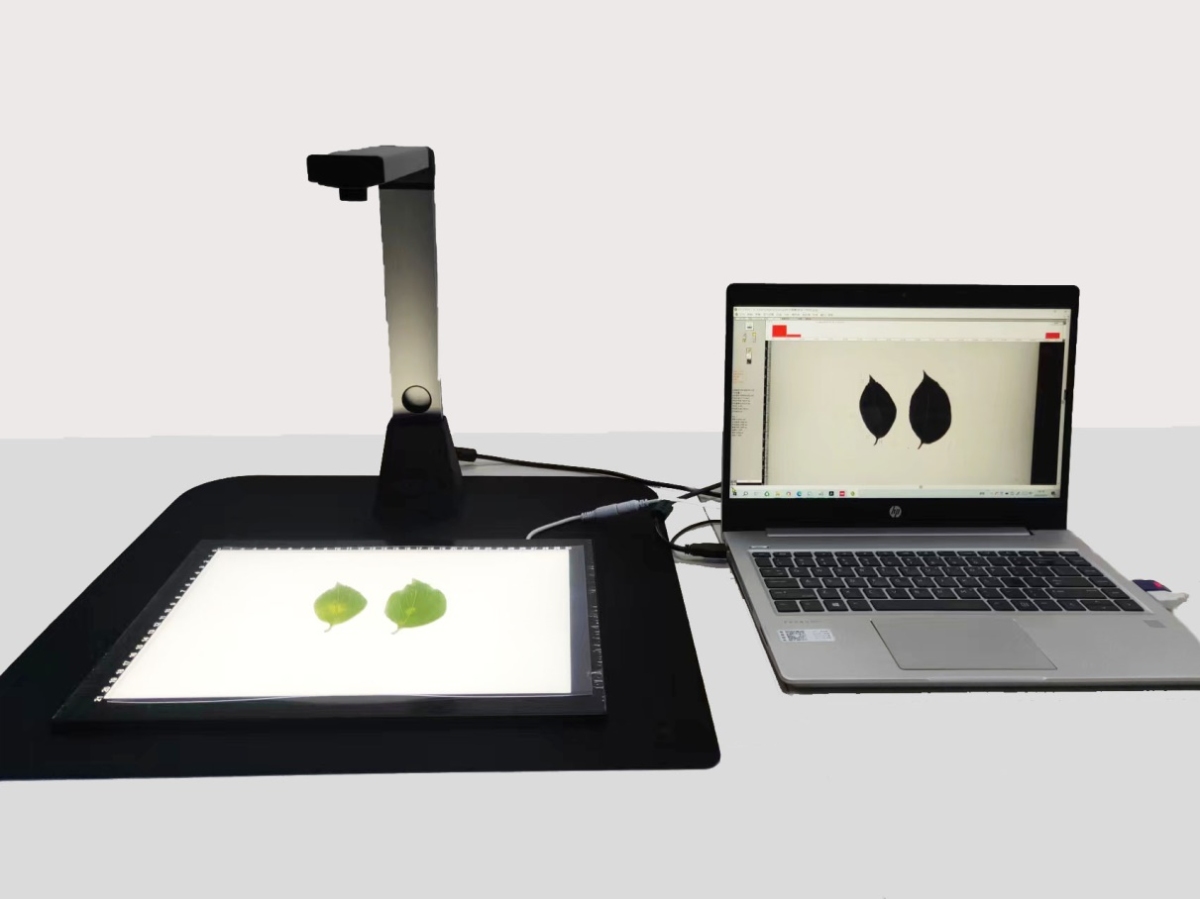 点将叶片图像分析仪