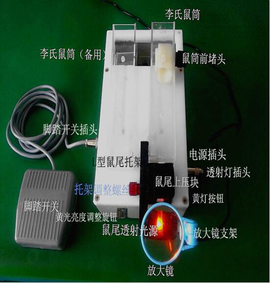 RL-静脉可视小鼠尾注固定器图片