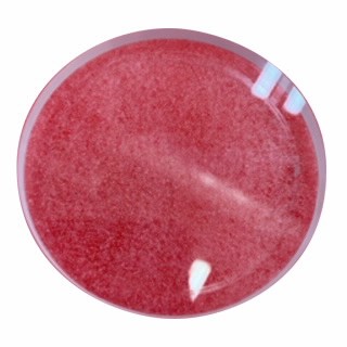 油位Borosil观察镜,用于HS-20,HS-32和NHS-35图片